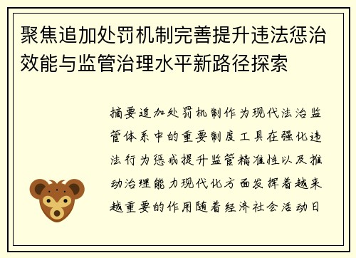 聚焦追加处罚机制完善提升违法惩治效能与监管治理水平新路径探索